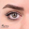 لنز شماره 13 مدل Grafit gray رویال ویژن